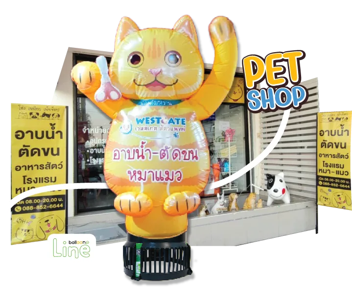 ตุ๊กตาโบก Pet Shop Cat
