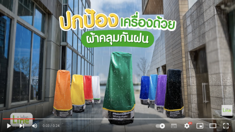 ปกป้องตุ๊กตาโบก หน้าฝน